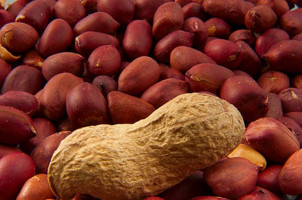تصویر 1 از قیمت بادام زمینی استانه اشرفیه + خرید باور نکردنی